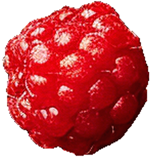fruct-2