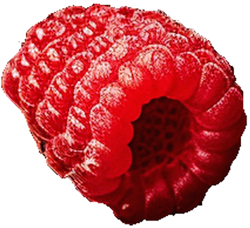 fruct-7